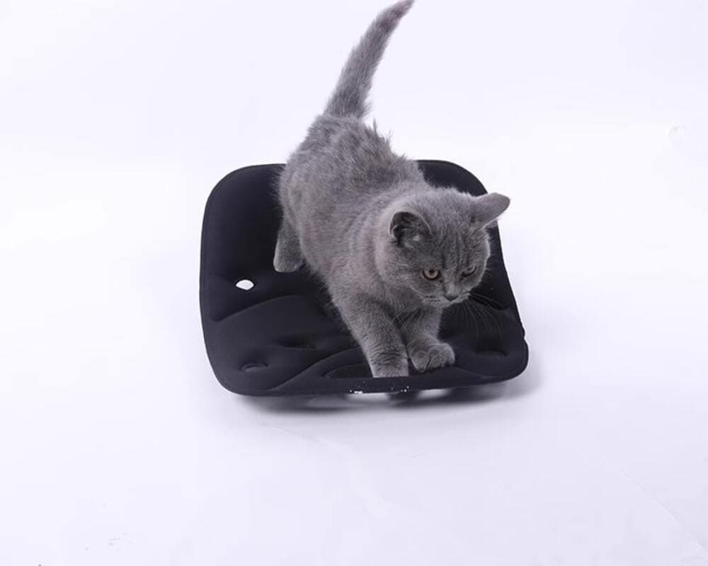 骨盤矯正 アクティブ脊椎サポートクッション